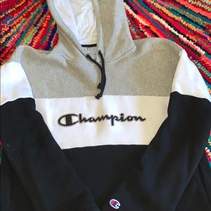Cropped Reverse Weave Champion Hoodie